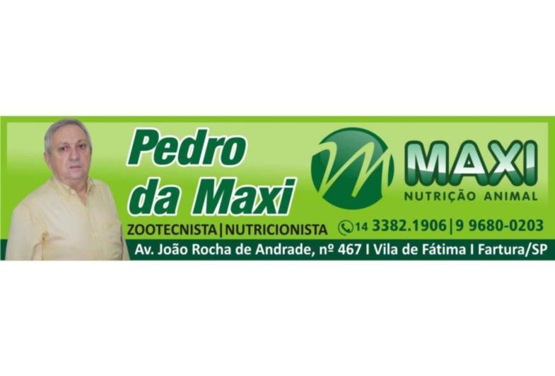 CAPIM MOMBAÇA (Panicum maximum) NA ALIMENTAÇÃO DE GADO LEITEIRO