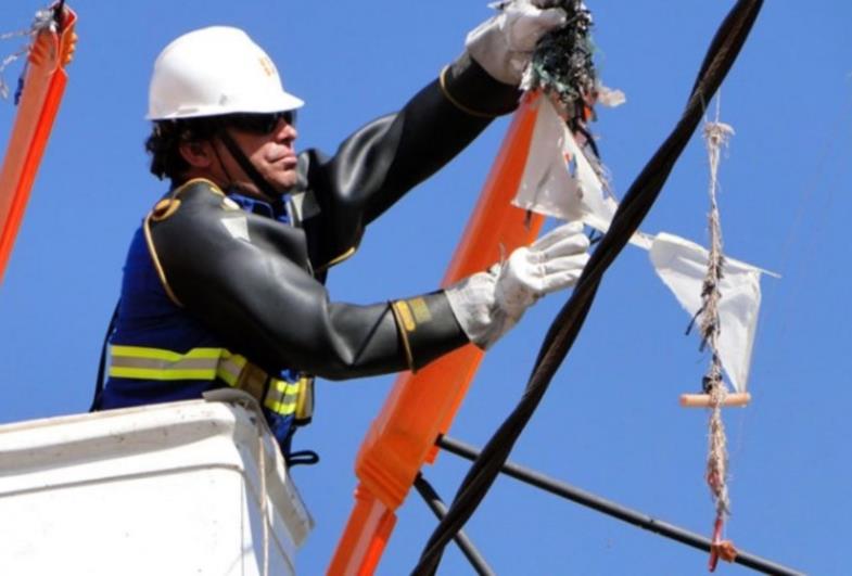 Pipas causaram quase 50 interrupções de energia em Avaré em 2021