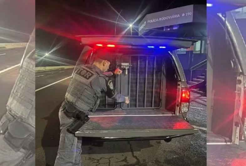 Dupla se envolve em acidente com carro roubado, foge de carona e acaba presa em Ourinhos