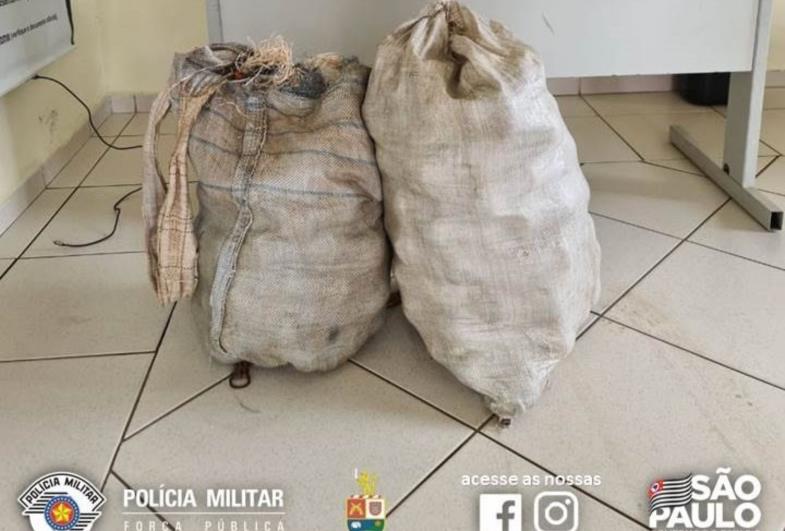 CASAL É PRESO PELA PM FURTANDO LARANJA NA ÁREA RURAL PARA REVENDER EM AVARÉ