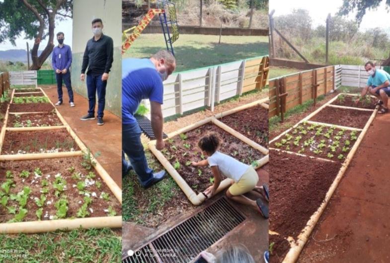 Projeto “Horta na Escola” é desenvolvido pelo CEI Madre Gaetana Sterni