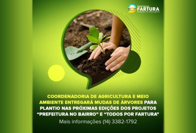 Coordenadoria de Agricultura e Meio Ambiente entregará mudas de árvores para plantio nas próximas edições dos projetos “Prefeitura no Bairro” e “Todos por Fartura”