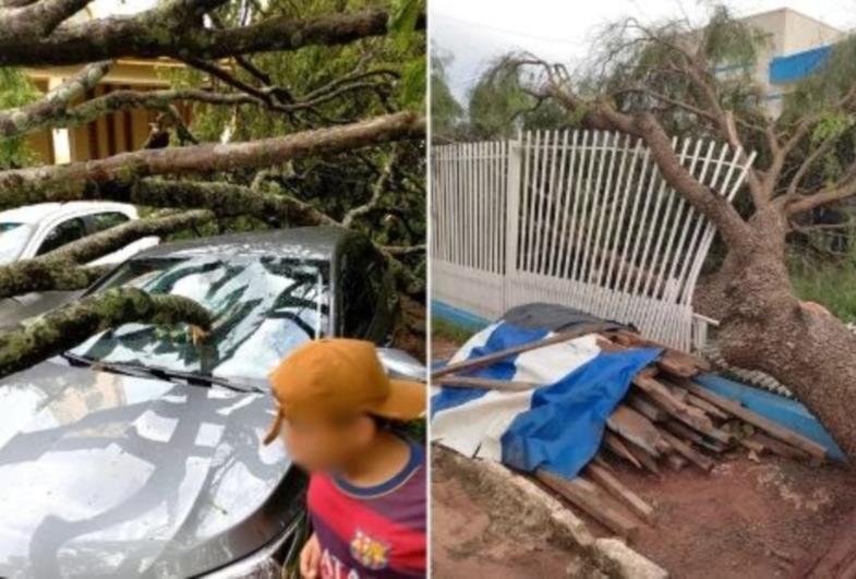 Tempestade provoca estragos em Coronel Macedo