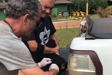 Vacinação contra a raiva em cães e gatos acontece nos dias 29 e 30 de abril em Avaré