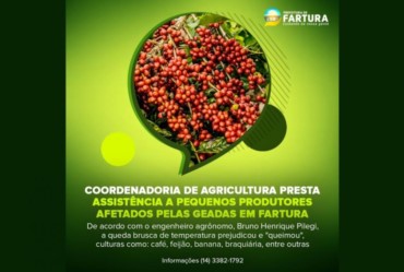 Coordenadoria de Agricultura presta assistência a pequenos produtores afetados pelas geadas em Fartura