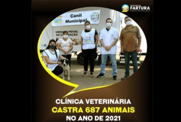 Clínica Veterinária de Fartura castra 687 animais no ano de 2021
