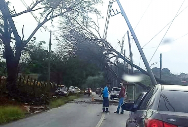 Fortes chuvas derrubam árvores e destelham casas em Águas de Santa Bárbara