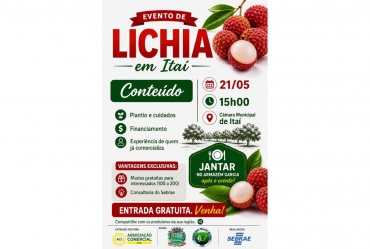 Itaí recebe evento técnico do Sebrae-SP e ACI focado no cultivo e comercialização de lichia