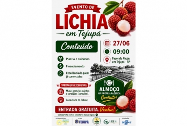 Tejupá recebe evento gratuito sobre cultivo e comercialização de lichia com apoio do Sebrae