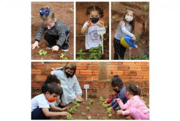 Projeto Horta na Escola retorna em Itaporanga