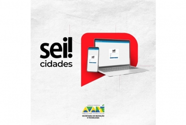 Servidores de Avaré passam por treinamento do Sistema Eletrônico de Informações