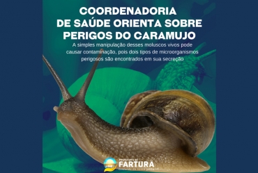 Coordenadoria de Saúde orienta sobre perigos do caramujo