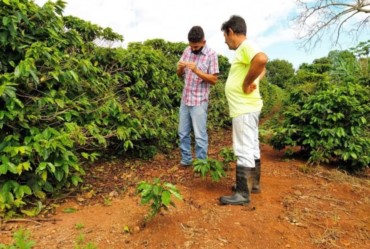 Prefeitura disponibiliza serviços de análises de solo aos agricultores de Timburi