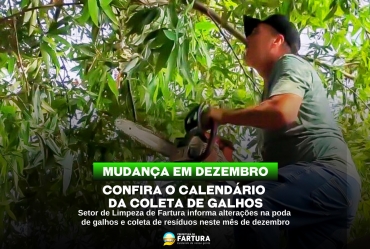 Mudanças na coleta de galhos em dezembro: confira o calendário e fique atento