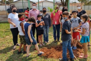 Secretaria do Meio Ambiente comemora o dia da árvore com plantio de mudas em Itaí