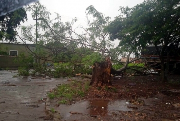 Temporal de quinta-feira provoca estragos em Sarutaiá