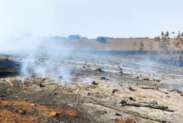 Equipe tenta conter incêndio em Taquarituba 