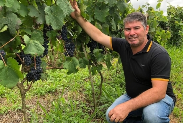 Prefeito Douglas acompanha  produção de uvas em Itaporanga