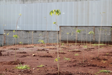 Secretaria do Meio Ambiente de Taguaí realiza  recuperação de área verde ao lado da Escola Zaga Lança