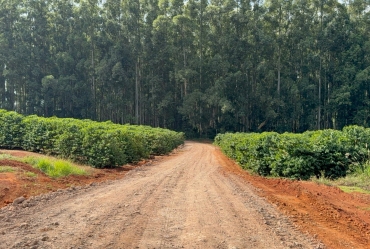 Prefeitura de Timburi intensifica a recuperação das estradas rurais