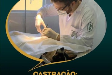 Castração: Clínica Veterinária agendará cirurgias na segunda-feira (7)
