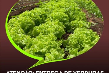 Atenção: entrega de verduras do Programa “Horta Alimento” será na quarta-feira (2)