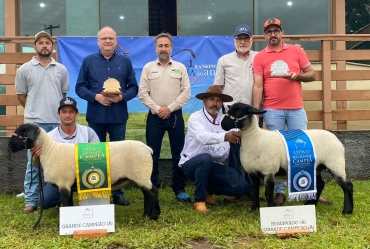Emapa consolida Avaré como referência nacional da ovinocultura ao sediar etapa decisiva dos rankings ARCO e ASPACO