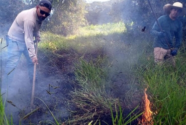 Defesa Civil de Taquarituba age rapidamente evitando desastre em mata fechada após incêndio criminoso