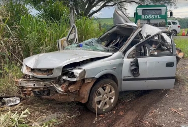 Três pessoas da mesma família morrem após carro bater em árvore e capotar em Timburi