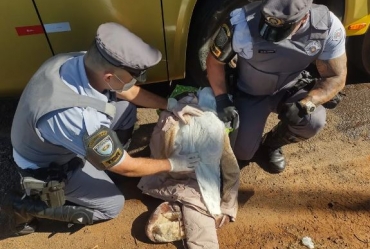 Pasta base de cocaína escondida em roupas é apreendida em ônibus