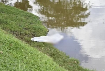 Corpo de idoso é encontrado boiando no lago municipal de Manduri