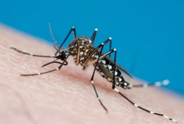 Saúde realiza ações contra dengue no Alto da Colina e Jardim Botânico em Avaré