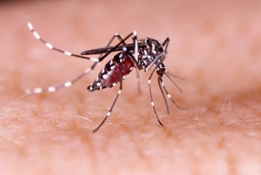 Novos casos de Dengue em Avaré