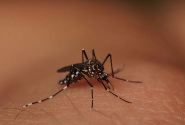 Marília confirma terceira morte por dengue em 2024