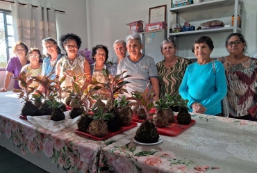 Curso de Kokedama une arte, sustentabilidade e geração de renda em Fartura