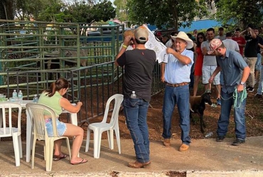 8º Porco no Rolete tem recorde de arrecadação em Timburi