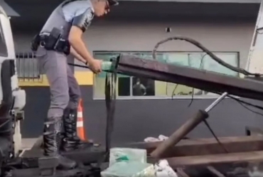 Motorista é preso com mais de 300 tijolos de maconha escondidos em caminhão-guincho