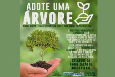 Prefeitura de Itaporanga implanta projeto “Adote uma Árvore” 
