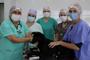 Medicina Veterinária Eduvale promove ação de castração gratuita