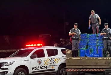 Polícia apreende quase meia tonelada de maconha