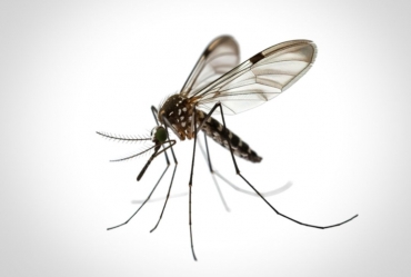 Prefeitura de Fartura realizará mutirão de limpeza na Vila Nossa Senhora de Fátima