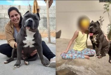 Cadela que morreu baleada no meio da rua escapou após dono deixar portão aberto: 'Não machucaria ninguém'