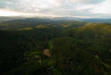 Suzano promove restauração ecológica em áreas nativas de Itararé e Itapeva (SP)